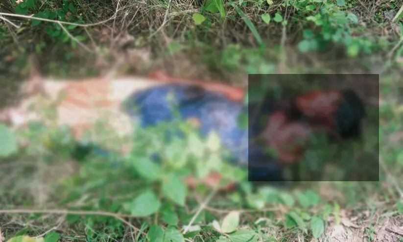 കടുവയുടെ ആക്രമണത്തിൽ ആദിവാസി യുവതി കൊല്ലപ്പെട്ടു കടുവയുടെ ആക്രമണത്തിൽ ആദിവാസി യുവതി കൊല്ലപ്പെട്ടു