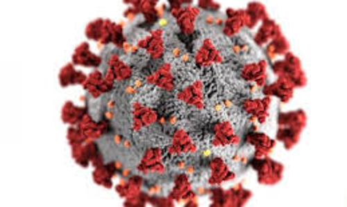 കുവൈത്തിൽ 702 പേർക്ക്​ കൂടി കോവിഡ്​; 433 പേർക്ക്​ രോഗമുക്​തി