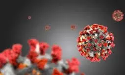 ഒമാനിൽ 206 പേർക്ക് കൂടി കോവിഡ് ഒമാനിൽ 206 പേർക്ക് കൂടി കോവിഡ്