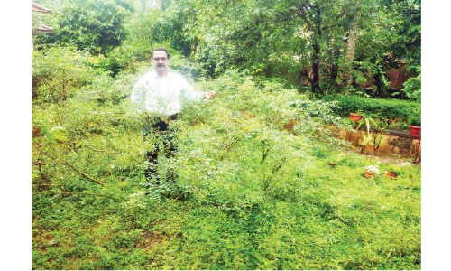 ഔഷധച്ചെടികളെ നെഞ്ചോട്​ ചേര്‍ത്ത് ഒരു ഡോക്ടര്‍