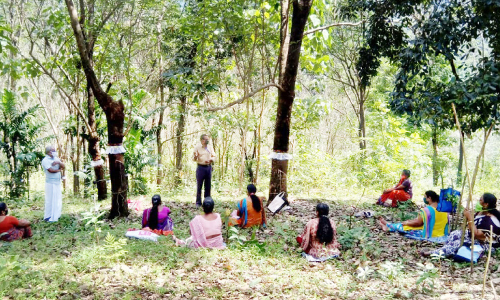 റബർ ടാപ്പിങ്ങിൽ ഒരുകൈ നോക്കാൻ വളയിട്ട കൈകളും