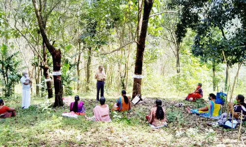 റബർ ടാപ്പിങ്ങിൽ ഒരുകൈ നോക്കാൻ വളയിട്ട കൈകളും