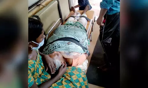 കാട്ടുപോത്തി​െൻറ ആക്രമണത്തിൽ വ​യോധികക്ക് പരിക്ക്