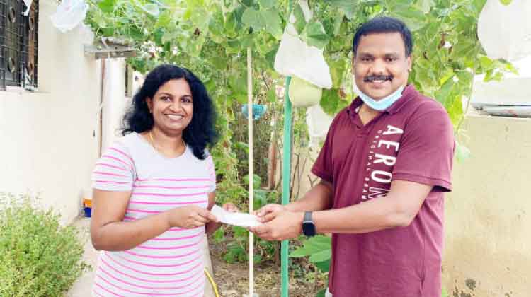 ഒമാൻ കൃഷിക്കൂട്ടം വിത്തുവിതരണം നടത്തി ഒമാൻ കൃഷിക്കൂട്ടം വിത്തുവിതരണം നടത്തി