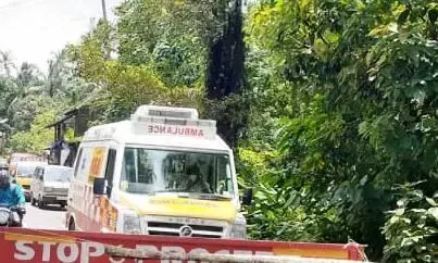 ആം​ബു​ല​ന്‍സി​ല്‍ ക​ര്‍ട്ട​നും സ്​​റ്റി​ക്ക​റും പാ​ടി​ല്ല –ആ​ര്‍.​ടി.​ഒ