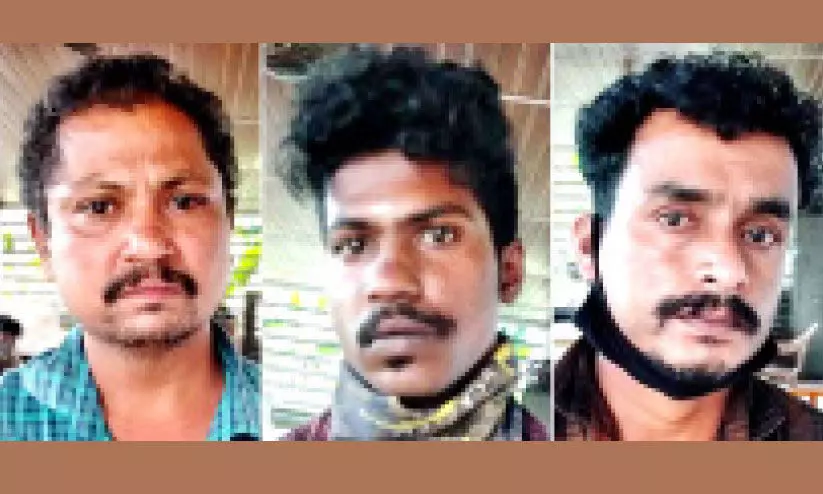 ഓട്ടോ ഡ്രൈവറെ മർദിച്ചു; മൂന്നുപേർ അറസ്റ്റിൽ ഓട്ടോ ഡ്രൈവറെ മർദിച്ചു; മൂന്നുപേർ അറസ്റ്റിൽ