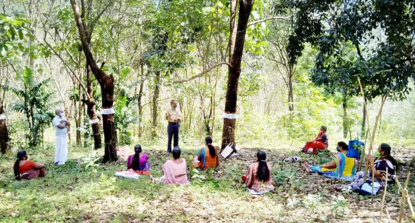 റബർ ടാപ്പിങ്ങിൽ ഒരുകൈ നോക്കാൻ വളയിട്ട കൈകളും