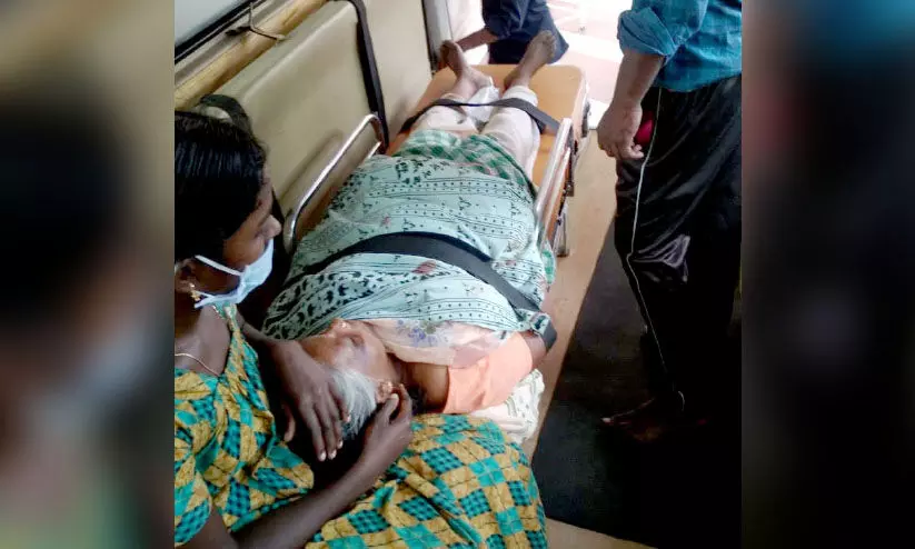 കാട്ടുപോത്തി​െൻറ ആക്രമണത്തിൽ വ​യോധികക്ക് പരിക്ക്