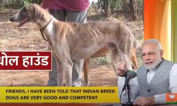 മോദിയുടെ മൻ കി ബാത്തിന് ദശലക്ഷം ഡിസ്ലൈക്; എല്ലാം കോൺഗ്രസുകാരുടെ പണിയെന്ന് ബി.ജെ.പി മോദിയുടെ മൻ കി ബാത്തിന് ദശലക്ഷം ഡിസ്ലൈക്; എല്ലാം കോൺഗ്രസുകാരുടെ പണിയെന്ന് ബി.ജെ.പി