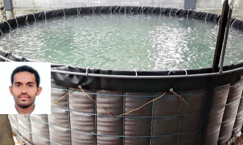 മത്സ്യകൃഷിയിൽ പുതുപരീക്ഷണം; നാ​ലു​മാ​സം കൊ​ണ്ട് ലാ​ഭ​ക​ര​മാ​യി വി​ള​വെ​ടു​ക്കാം