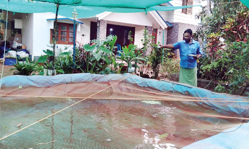 വാടകസ്​റ്റോർ വരുമാനം നിലച്ചു ; പുതിയ ജീവിതവഴി തുറന്ന്​ രഘുനാഥ്