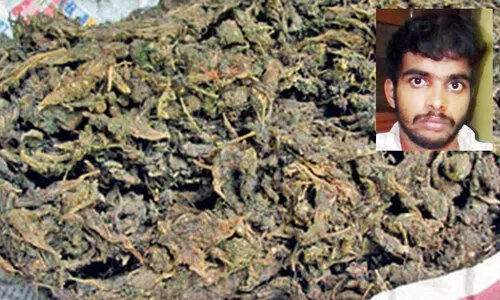 ക​ഞ്ചാ​വ് വി​ല്‍പ​ന തൊ​ഴി​ലാ​യി സ്വീ​ക​രി​ച്ച്​ യുവാക്കൾ; 8.5 കിലോ കഞ്ചാവും 22 കിലോ പുകയില ഉൽപന്നങ്ങളും പിടിയിൽ