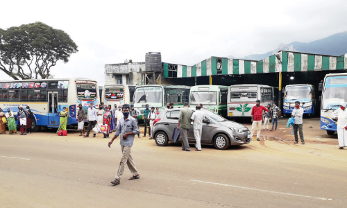 നീലഗിരി സാധാരണ നിലയിലേക്ക് ; ലോക്ഡൗൺ ഇളവുകൾ പ്രഖ്യാപിച്ചതോടെ ബ​സു​ക​ൾ ഓ​ടി​ത്തു​ട​ങ്ങി