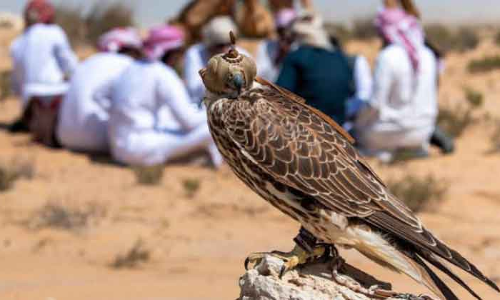 വേട്ട സീസൺ നിയന്ത്രണത്തിന്​ പുതിയ നിർദേശങ്ങൾ