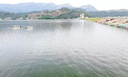 ജലനിരപ്പ്​ ഉയർന്നു ; അമരാവതി തീരത്തുള്ളവര്‍ക്ക് മുന്നറിയിപ്പ്​