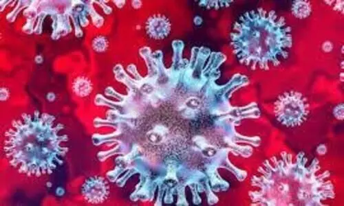 കരുനാഗപ്പള്ളിയിൽ മത്സ്യവിൽപനക്കാരിക്കും തൊഴിലാളികൾക്കും കോവിഡ്