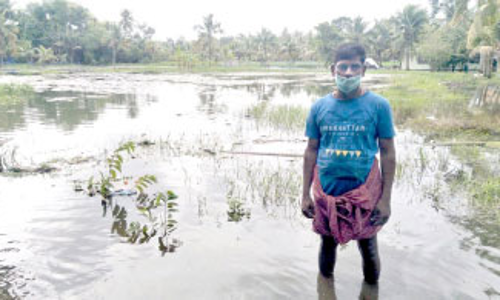 വെള്ളപ്പൊക്കം: മത്സ്യകർഷകർക്ക് ലക്ഷങ്ങളുടെ നഷ്​ടം