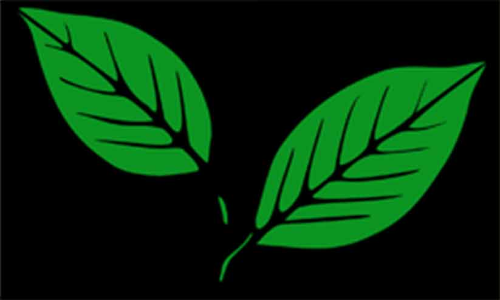 കോണ്‍ഗ്രസ്​ പിന്തുണ പിന്‍വലിച്ചു; കേരള കോൺഗ്രസ് –എം ബാങ്ക് പ്രസിഡൻറ്​ പുറത്തായി