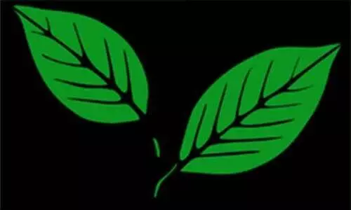 കോണ്‍ഗ്രസ്​ പിന്തുണ പിന്‍വലിച്ചു; കേരള കോൺഗ്രസ് –എം ബാങ്ക് പ്രസിഡൻറ്​ പുറത്തായി