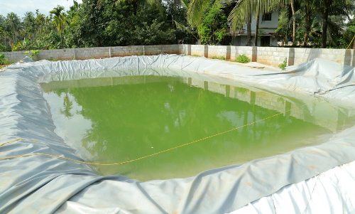 മുക്കം നഗരസഭയിൽ 1.27 കോടി ചെലവിൽ മത്സ്യസമൃദ്ധി പദ്ധതിയൊരുങ്ങി