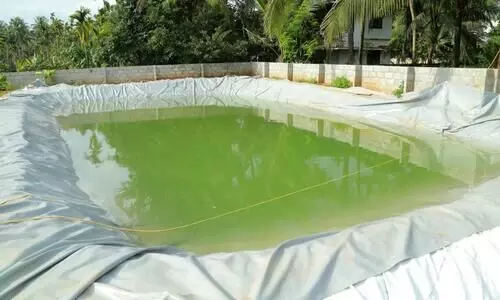 മുക്കം നഗരസഭയിൽ 1.27 കോടി ചെലവിൽ മത്സ്യസമൃദ്ധി പദ്ധതിയൊരുങ്ങി