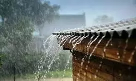 പാലക്കാട് ആഗസ്റ്റിൽ ലഭിച്ചത് 575.7 മില്ലിമീറ്റർ റെക്കോർഡ് മഴ പാലക്കാട് ആഗസ്റ്റിൽ ലഭിച്ചത് 575.7 മില്ലിമീറ്റർ റെക്കോർഡ് മഴ