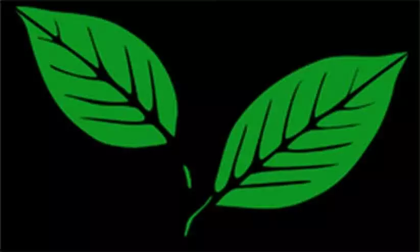 കോണ്‍ഗ്രസ്​ പിന്തുണ പിന്‍വലിച്ചു; കേരള കോൺഗ്രസ് –എം ബാങ്ക് പ്രസിഡൻറ്​ പുറത്തായി