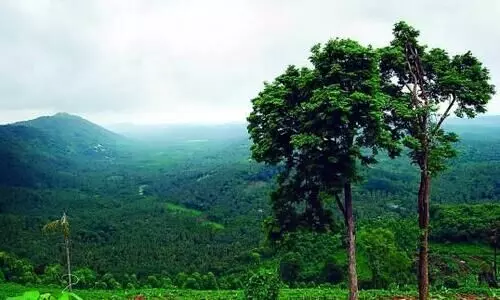 33.5 കിലോമീറ്റർ ദൈർഘ്യമുള്ള വലിയതോട്​ നവീകരിക്കുന്നു