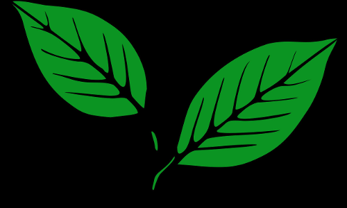 ചിഹ്​നം മാത്രമല്ല, പാർട്ടി അധികാരവും തങ്ങൾക്കെന്ന്​ കേരള കോണ്‍ഗ്രസ്​ (എം)