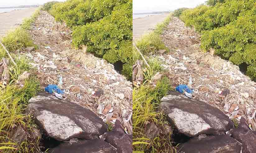 ചാലിയത്ത് കടൽ തള്ളിയ മാലിന്യം പുലിമുട്ടിനടുത്ത് നിക്ഷേപിച്ചു ചാലിയത്ത് കടൽ തള്ളിയ മാലിന്യം പുലിമുട്ടിനടുത്ത് നിക്ഷേപിച്ചു