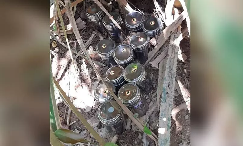 കതിരൂർ സ്ഫോടനം: പരിക്കേറ്റവരിൽ ടി.പി കേസിൽ കോടതി വെറുതെ വിട്ടയാളും കതിരൂർ സ്ഫോടനം: പരിക്കേറ്റവരിൽ ടി.പി കേസിൽ കോടതി വെറുതെ വിട്ടയാളും