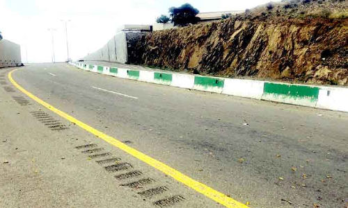 കൗ​തു​ക​വും ഭീ​തി​യും പ​ര​ത്തി അ​സീ​റി​ൽ വെ​ട്ടു​കി​ളി​ക​ൾ