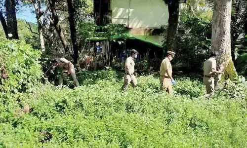 കരുവാറ്റ സഹകരണ ബാങ്ക് കവർച്ച ; പഴുതടച്ച അന്വേഷണം, അന്തർസംസ്ഥാന സംഘമെന്ന്​ സംശയം