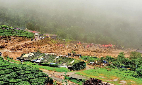 പെട്ടിമുടി പുനരധിവാസം: പ്രത്യേക സംഘം റി​േപ്പാർട്ട്​്​ സമർപ്പിച്ചു