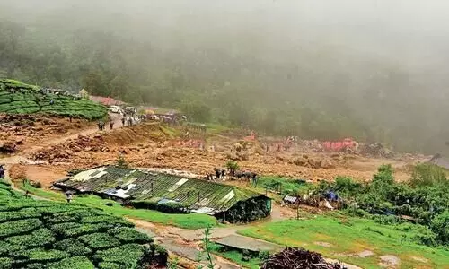 പെട്ടിമുടി പുനരധിവാസം: പ്രത്യേക സംഘം റി​േപ്പാർട്ട്​്​ സമർപ്പിച്ചു