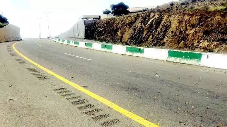 കൗതുകവും ഭീതിയും പരത്തി അസീറിൽ വെട്ടുകിളികൾ കൗതുകവും ഭീതിയും പരത്തി അസീറിൽ വെട്ടുകിളികൾ