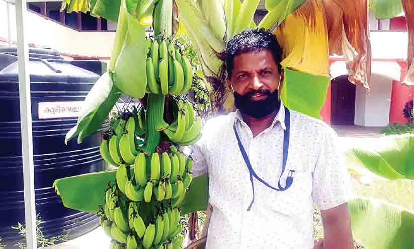 അധ്യാപനത്തോടൊപ്പം കൃഷിയിലും വിജ്ഞാനം പകർന്ന് സുബൈർ അധ്യാപനത്തോടൊപ്പം കൃഷിയിലും വിജ്ഞാനം പകർന്ന് സുബൈർ