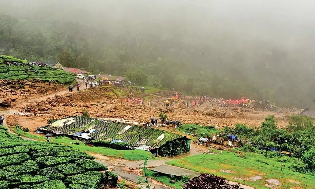 പെട്ടിമുടി പുനരധിവാസം: പ്രത്യേക സംഘം റി​േപ്പാർട്ട്​്​ സമർപ്പിച്ചു
