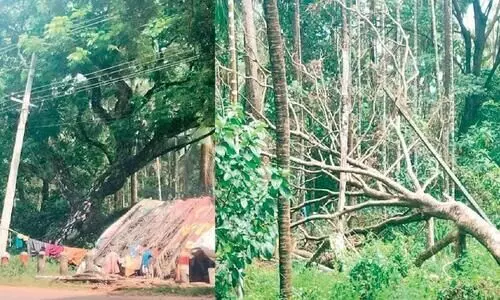 വൈദ്യുതി തൂൺ നീക്കിയില്ല; ഭീതിയോടെ പാതയോരത്തെ കുടുംബങ്ങള്‍