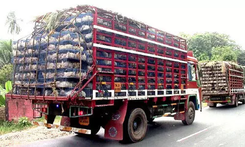 ഇറച്ചിക്കോഴിക്ക് ക്ഷാമം; കേരളത്തിൽനിന്ന്​ കോഴികൾ തമിഴ്നാട്ടിലേക്ക്