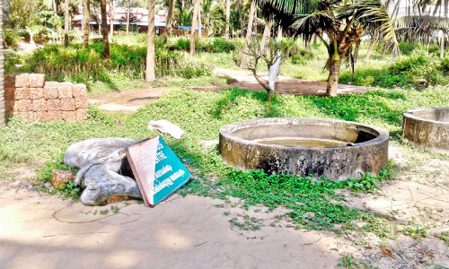 തൈക്കടപ്പുറം നെയ്തലിലെ കടലാമകളെ കാണാതായത്‌ വിവാദത്തിൽ