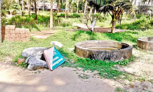 തൈക്കടപ്പുറം നെയ്തലിലെ കടലാമകളെ കാണാതായത്‌ വിവാദത്തിൽ