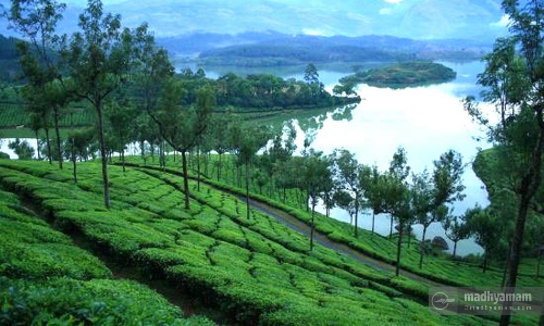 munnar