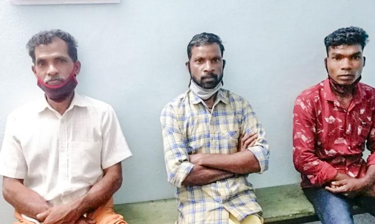 കാട്ടുപന്നി വേട്ട; മൂന്നുപേർ അറസ്റ്റിൽ കാട്ടുപന്നി വേട്ട; മൂന്നുപേർ അറസ്റ്റിൽ