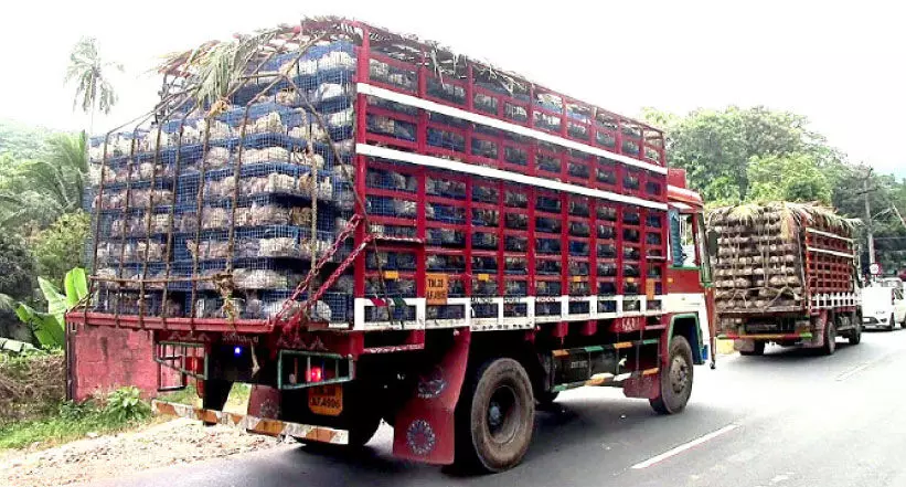 ഇറച്ചിക്കോഴിക്ക് ക്ഷാമം; കേരളത്തിൽനിന്ന്​ കോഴികൾ തമിഴ്നാട്ടിലേക്ക്