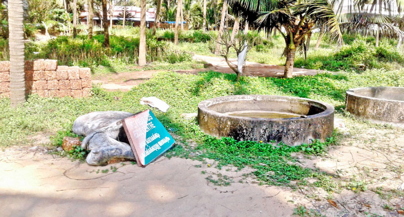 തൈക്കടപ്പുറം നെയ്തലിലെ കടലാമകളെ കാണാതായത് വിവാദത്തിൽ തൈക്കടപ്പുറം നെയ്തലിലെ കടലാമകളെ കാണാതായത് വിവാദത്തിൽ