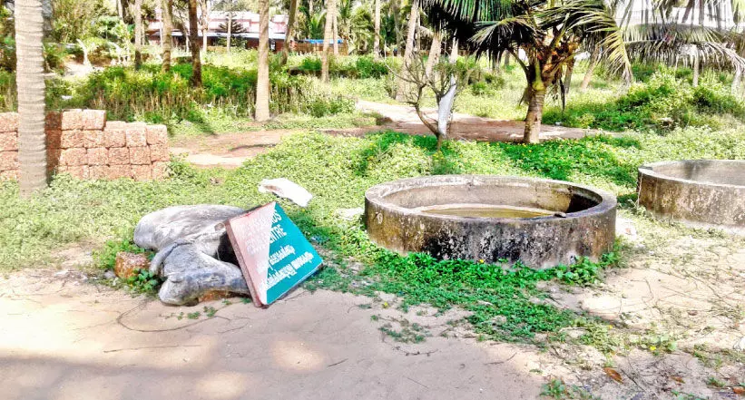 തൈക്കടപ്പുറം നെയ്തലിലെ കടലാമകളെ കാണാതായത് വിവാദത്തിൽ തൈക്കടപ്പുറം നെയ്തലിലെ കടലാമകളെ കാണാതായത് വിവാദത്തിൽ