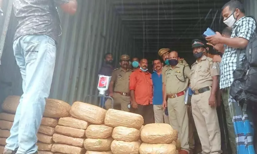 സംസ്ഥാനത്തെ ഏറ്റവും വലിയ കഞ്ചാവ് വേട്ട തിരുവനന്തപുരത്ത്; പിടികൂടിയത് 500 കിലോ, രണ്ടു പേർ അറസ്റ്റിൽ സംസ്ഥാനത്തെ ഏറ്റവും വലിയ കഞ്ചാവ് വേട്ട തിരുവനന്തപുരത്ത്; പിടികൂടിയത് 500 കിലോ, രണ്ടു പേർ അറസ്റ്റിൽ