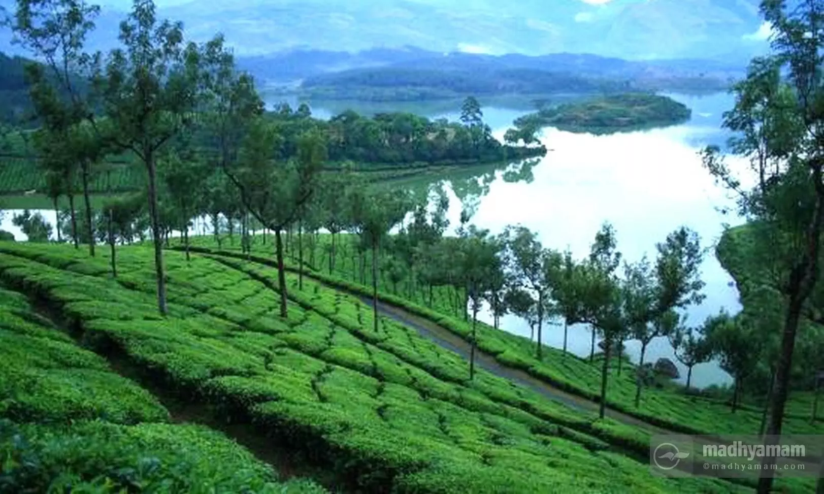 munnar
