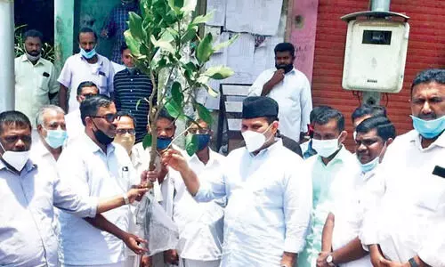 അ​ന്ന് ശി​ഹാ​ബ് ത​ങ്ങ​ൾ ചോ​ദി​ച്ച പേ​രാ​ൽ മ​ക​ൻ മു​ന​വ്വ​റ​ലി​ക്ക് ന​ൽ​കി